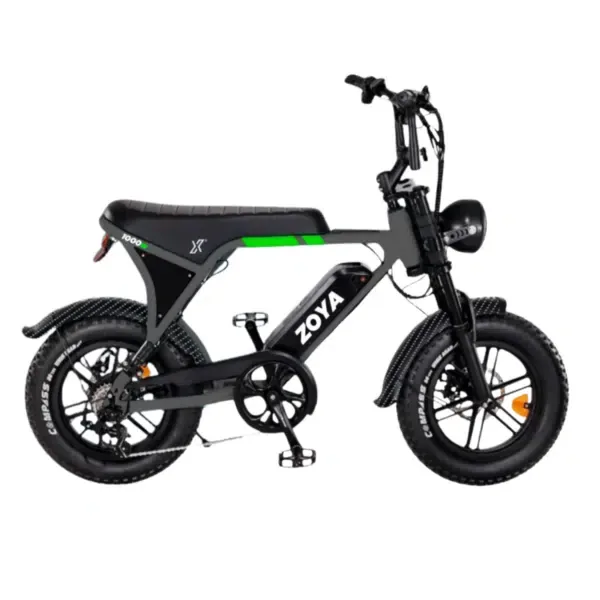 Ecoxtrem Zoya Mini 600W