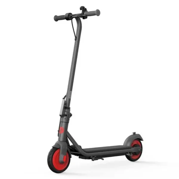 Segway Ninebot C20